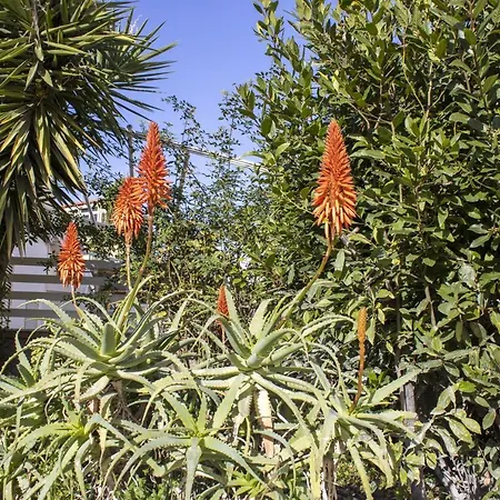 Salgari Uno Дом отдыха